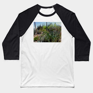 Desert Botanical Baseball T-Shirt